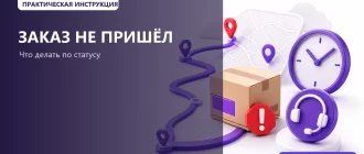 Заказ Wildberries не пришёл или потерялся: что делать: обложка